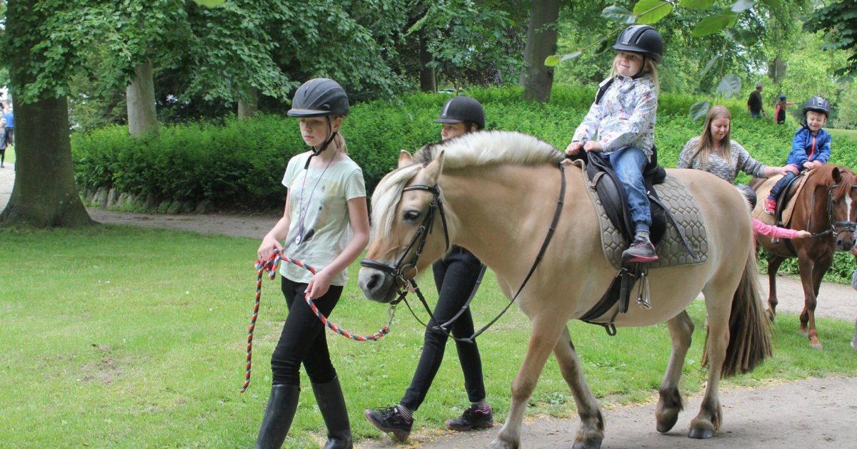 Hest og børn til dyrenes dag i Slagelse